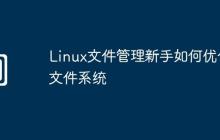 Linux文件管理新手如何优化文件系统