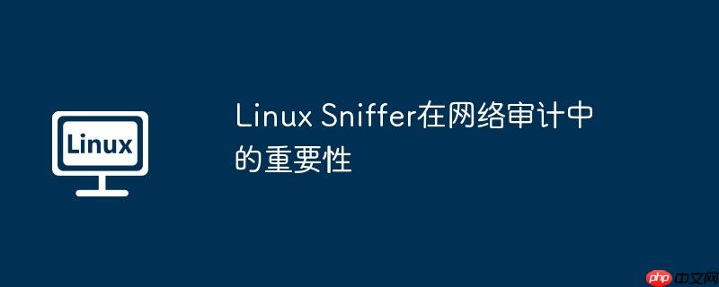 Linux Sniffer在網絡審計中的重要性 - 小浪云數據