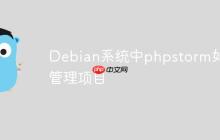 Debian系统中phpstorm如何管理项目