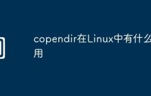 copendir在Linux中有什么作用
