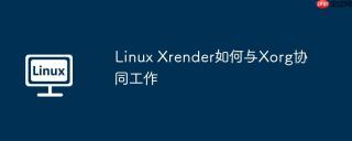 Linux Xrender如何与Xorg协同工作