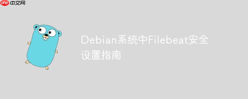 debian系统中filebeat安全设置指南