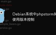Debian系统中phpstorm如何使用版本控制