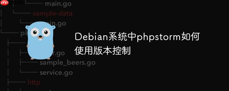 debian系统中phpstorm如何使用版本控制