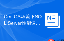 CentOS环境下SQL Server性能调优技巧