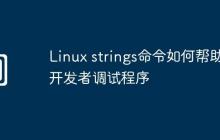 Linux strings命令如何帮助开发者调试程序