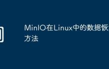 MinIO在Linux中的数据恢复方法