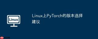 Linux上PyTorch的版本选择建议