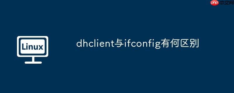 dhclient与ifconfig有何区别