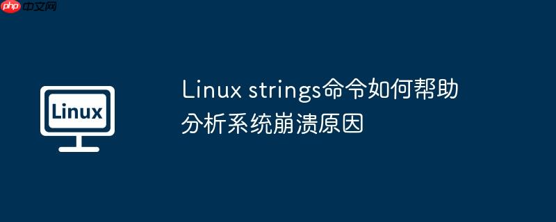 Linux strings命令如何幫助分析系統(tǒng)崩潰原因