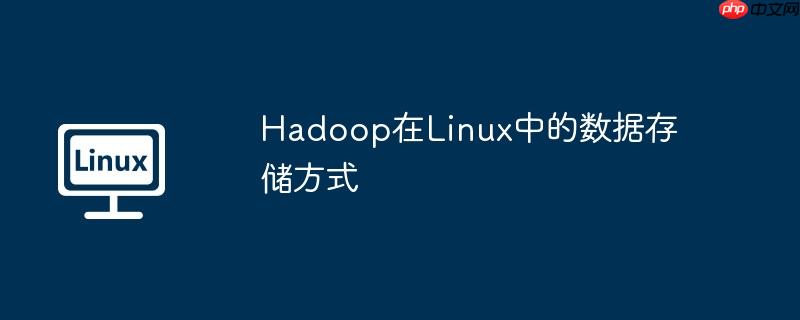 Hadoop在Linux中的數(shù)據(jù)存儲方式