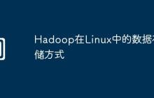 Hadoop在Linux中的数据存储方式