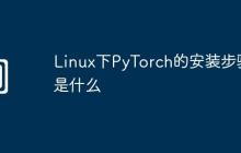 Linux下PyTorch的安装步骤是什么
