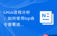 Linux进程分析：如何使用top命令查看进程