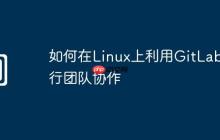 如何在Linux上利用GitLab进行团队协作