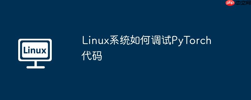 Linux系統如何調試PyTorch代碼
