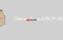 Debian Swap占用CPU吗