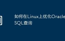 如何在Linux上优化Oracle SQL查询