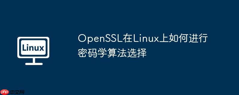 openssl在linux上如何进行密码学算法选择