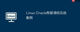 Linux Oracle性能调优实战案例