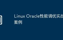 Linux Oracle性能调优实战案例