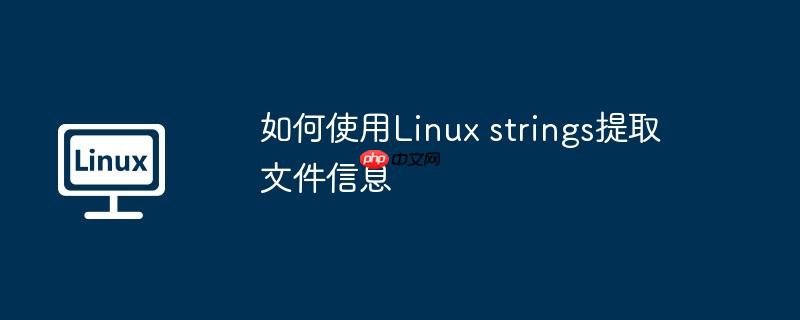 如何使用linux strings提取文件信息