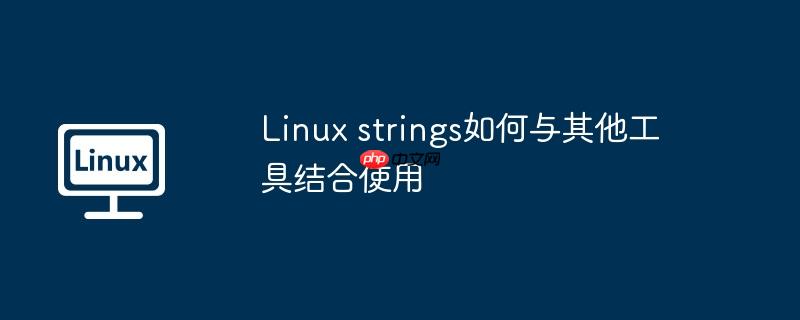 linux strings如何与其他工具结合使用