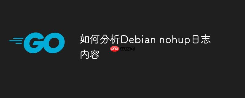 如何分析debian nohup日志内容
