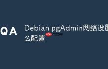 Debian pgAdmin网络设置怎么配置