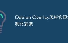 Debian Overlay怎样实现定制化安装