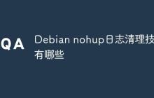 Debian nohup日志清理技巧有哪些