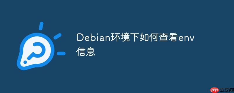 Debian环境下如何查看env信息