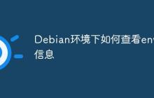 Debian环境下如何查看env信息