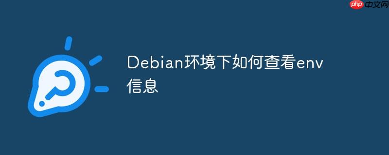 debian环境下如何查看env信息