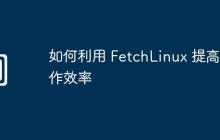 如何利用 FetchLinux 提高工作效率