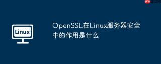 OpenSSL在Linux服务器安全中的作用是什么