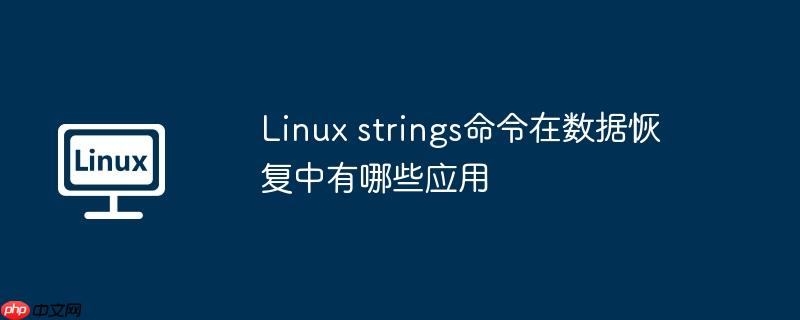 linux strings命令在数据恢复中有哪些应用