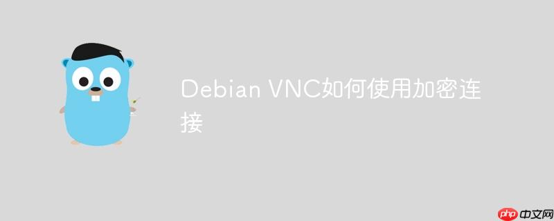 Debian VNC如何使用加密连接
