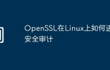 OpenSSL在Linux上如何进行安全审计
