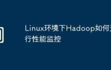 Linux环境下Hadoop如何进行性能监控