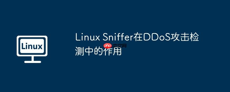 Linux Sniffer在DDoS攻擊檢測中的作用