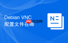 Debian VNC配置文件在哪