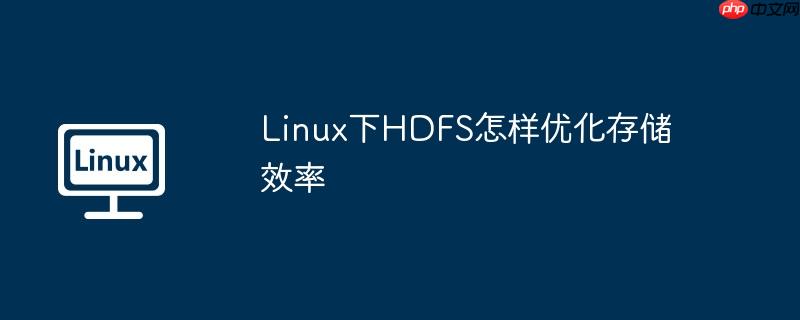 Linux下HDFS怎样优化存储效率