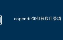 copendir如何获取目录项