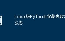 Linux版PyTorch安裝失敗怎么辦