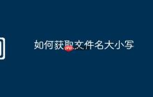 如何获取文件名大小写