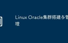 Linux Oracle集群搭建与管理