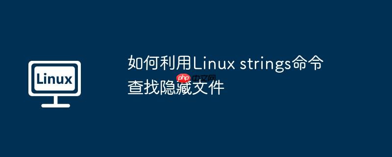 如何利用linux strings命令查找隐藏文件