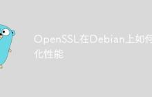 OpenSSL在Debian上如何优化性能