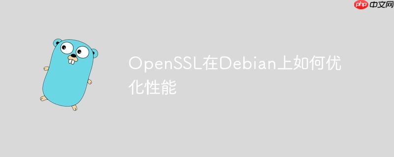 openssl在debian上如何优化性能